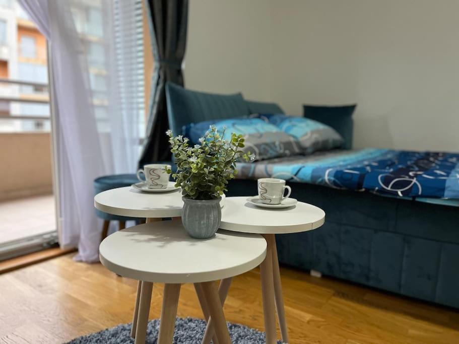 Lovely Apartment With The Parking Place Podgorica Extérieur photo