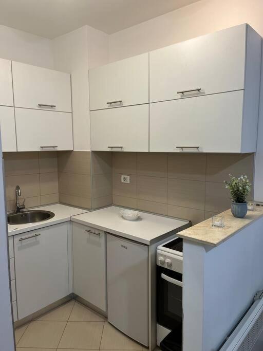 Lovely Apartment With The Parking Place Podgorica Extérieur photo